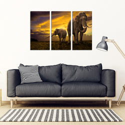 Mother Nature Elephant 3 Piece Framed Canvas Art