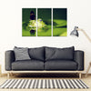 Butterfly and Frog 3 Piece Framed Canvas